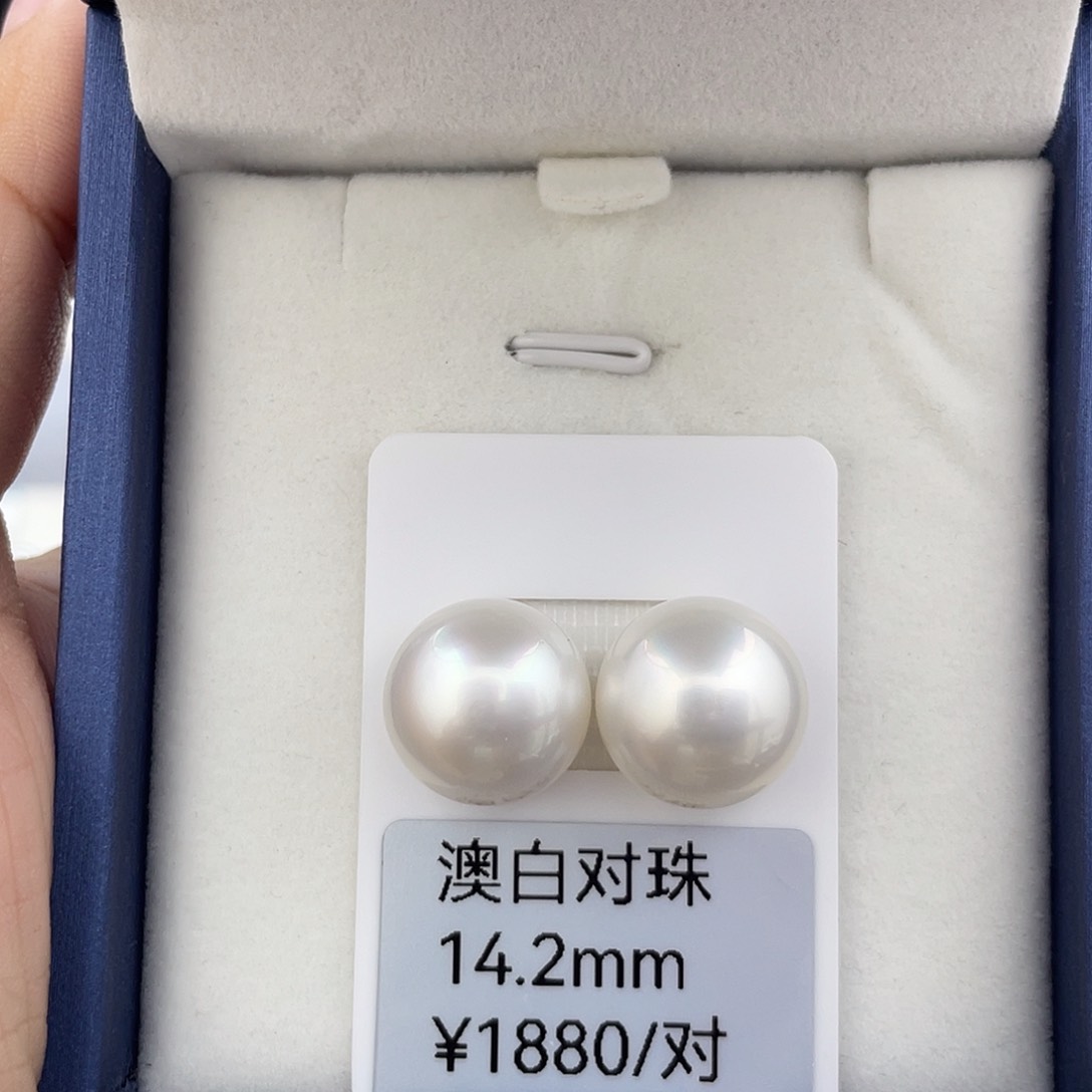 未镶嵌耳饰海水珍珠