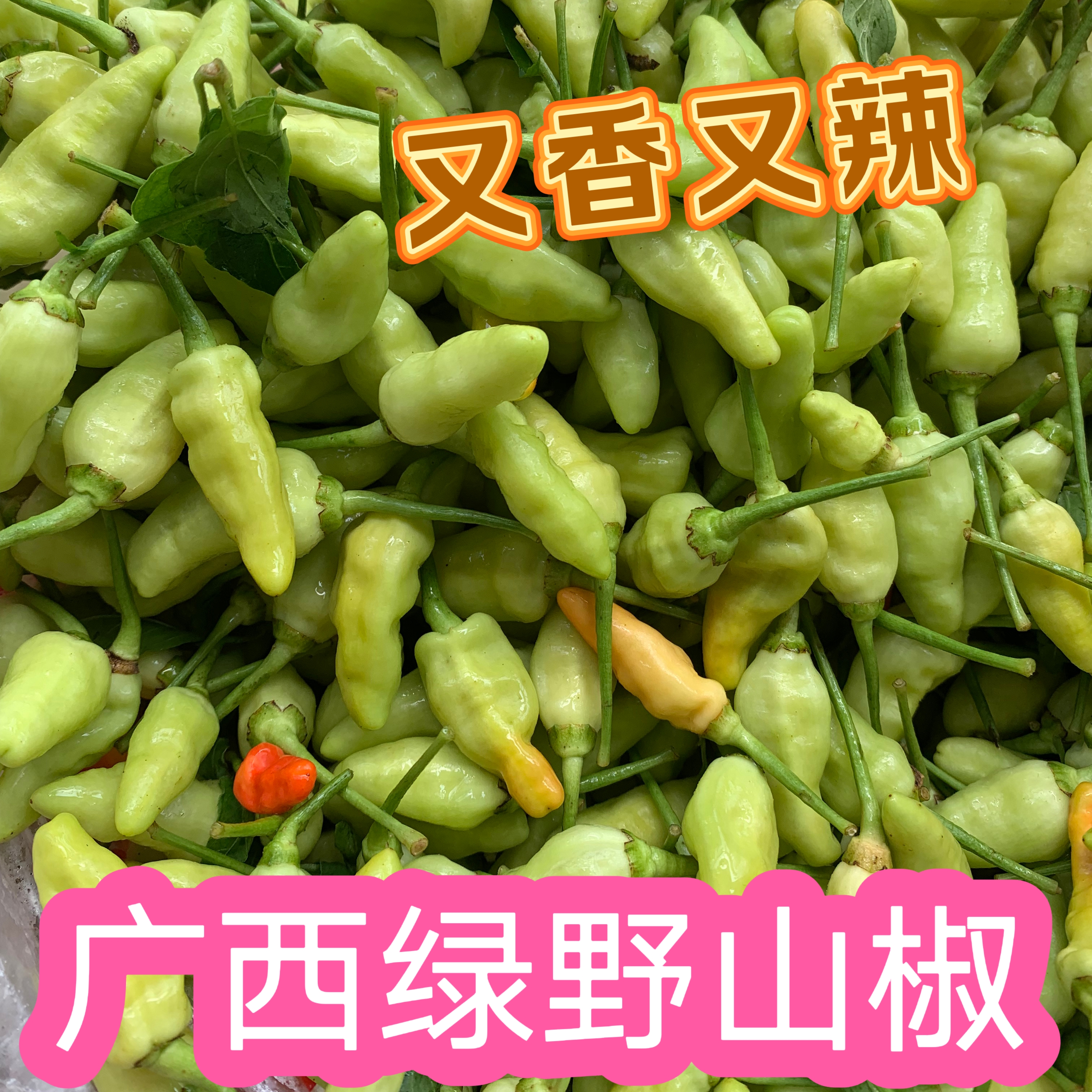 广西农家土野山椒 薄皮黄小米椒新鲜朝天椒 又香又辣泡椒专用