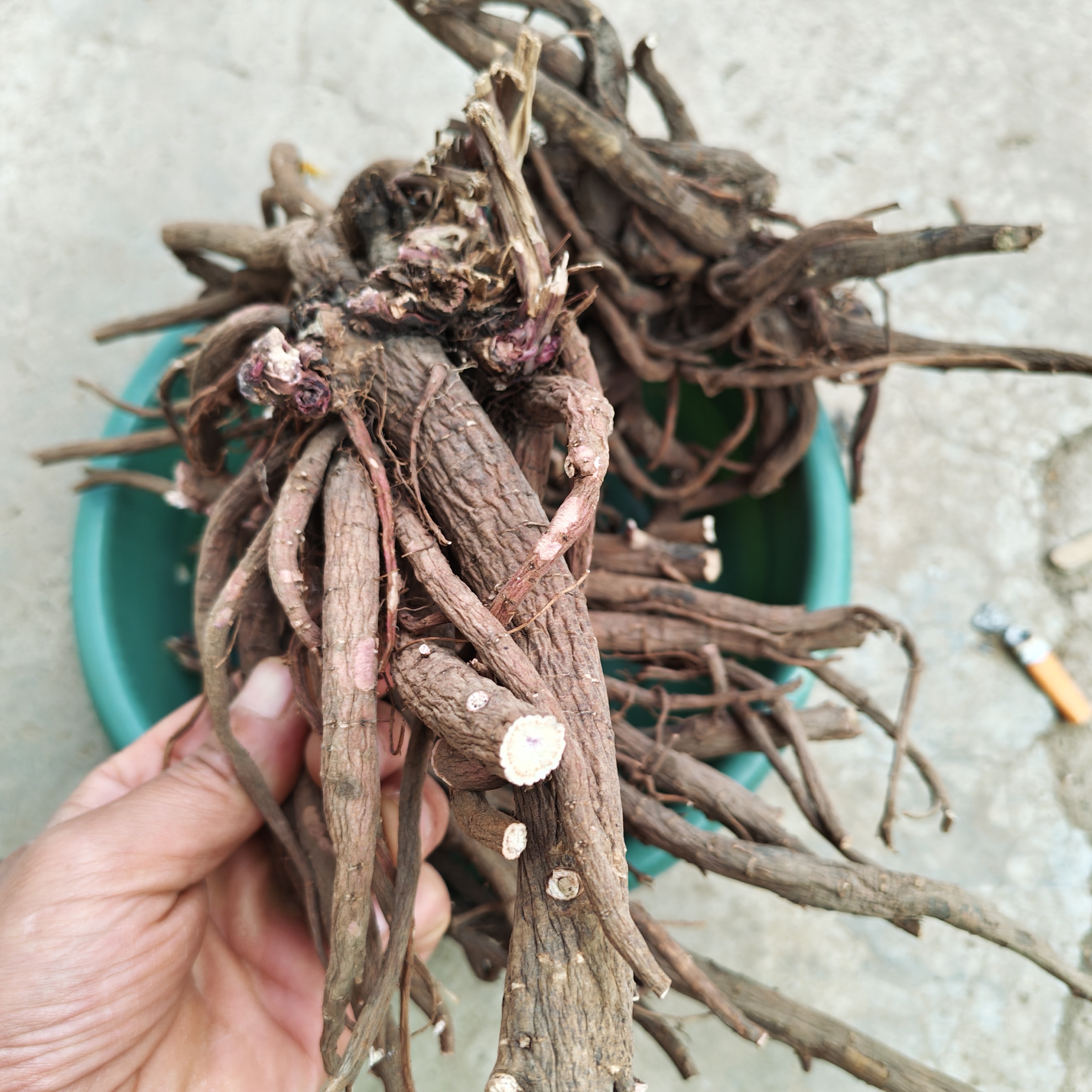 甘肃高原深山采挖野生赤芍无硫无添加全国包邮