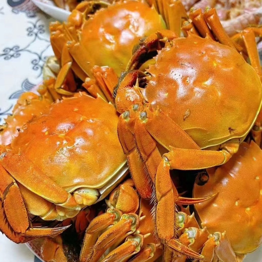 固城湖(共10只母蟹)红膏精品大闸蟹母蟹(规格2.6-2.8两左右/只)
