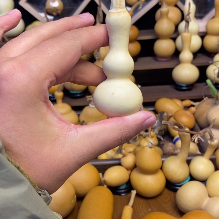 纵***海一物一拍偏远地区不包邮