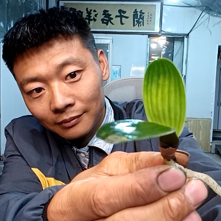 @山东青姐29。？。佛光