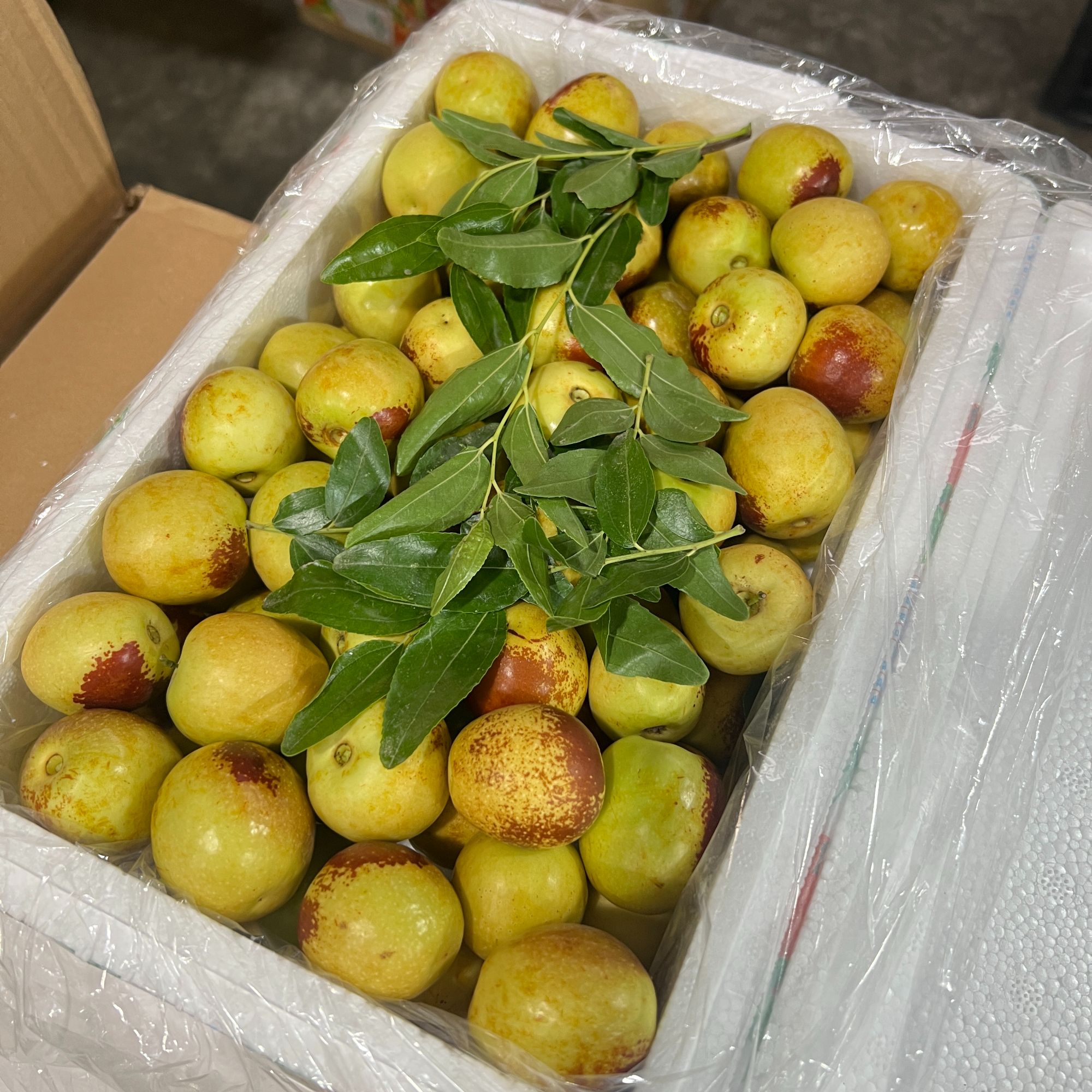 陕西大荔冬枣脆甜口感老少皆宜顺丰包邮陕西省