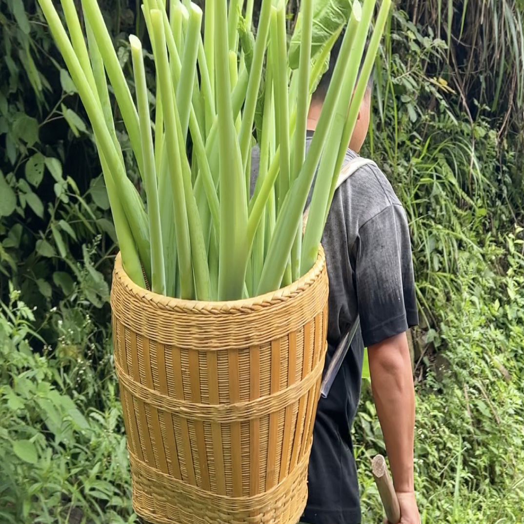 【广菜新鲜广荷毛毛菜鱼了韭菜等贵州农特产1斤起