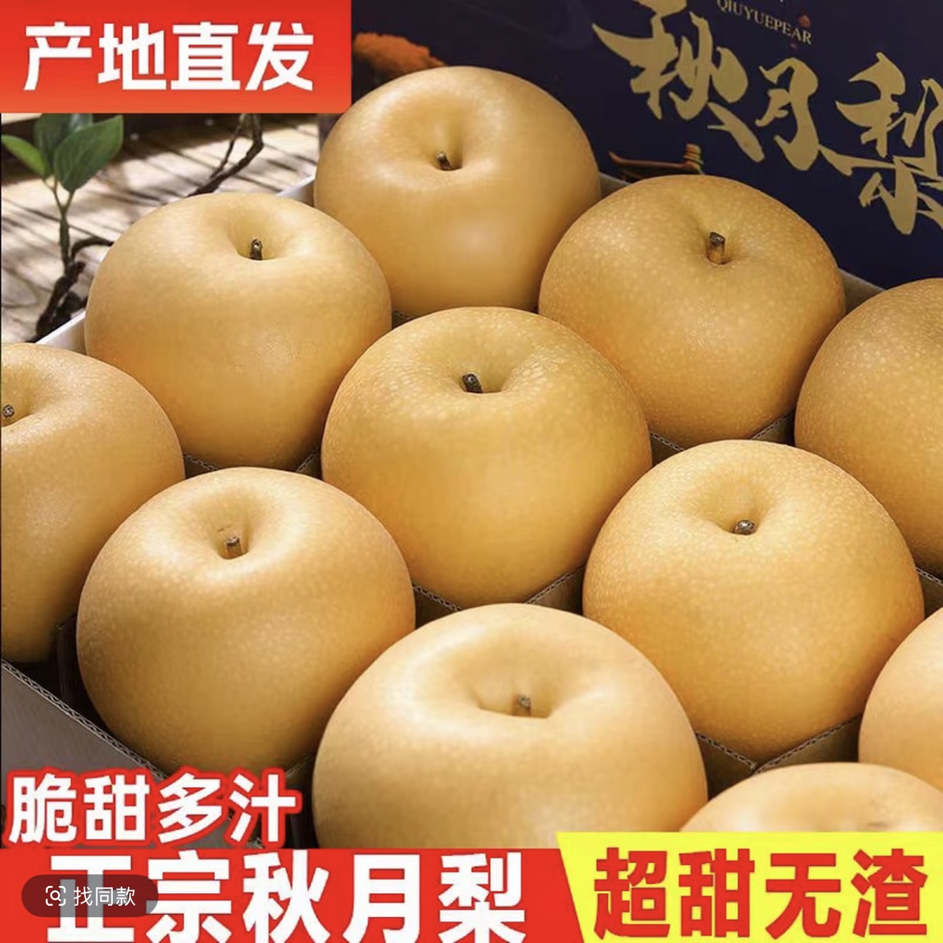 【产地助农】正宗烟台莱阳秋月梨新鲜冰糖梨当季现摘皮薄脆甜多汁