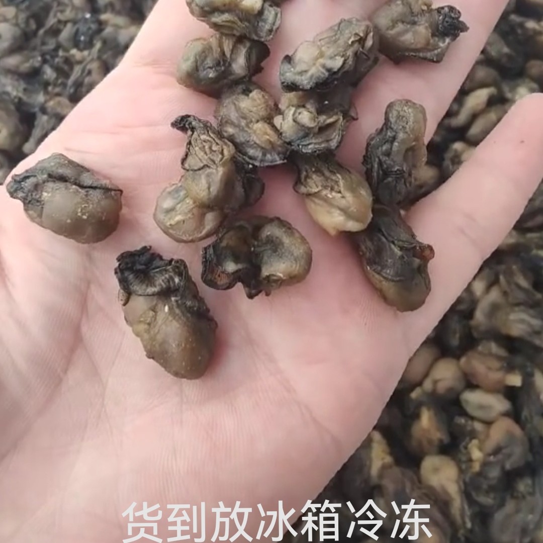 福建特产生晒海蛎干生蚝无沙无壳新鲜淡晒