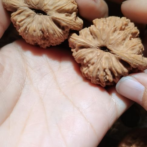 猴头核桃吊坠45泥鳅