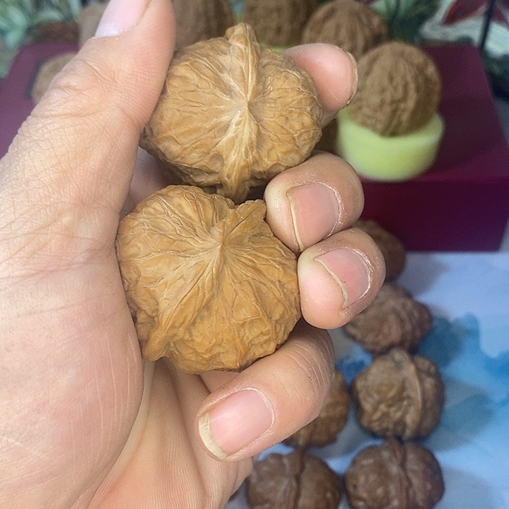 全品无修南瓜敦标配