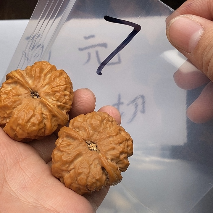 吊坠文玩核桃W86694964947947497