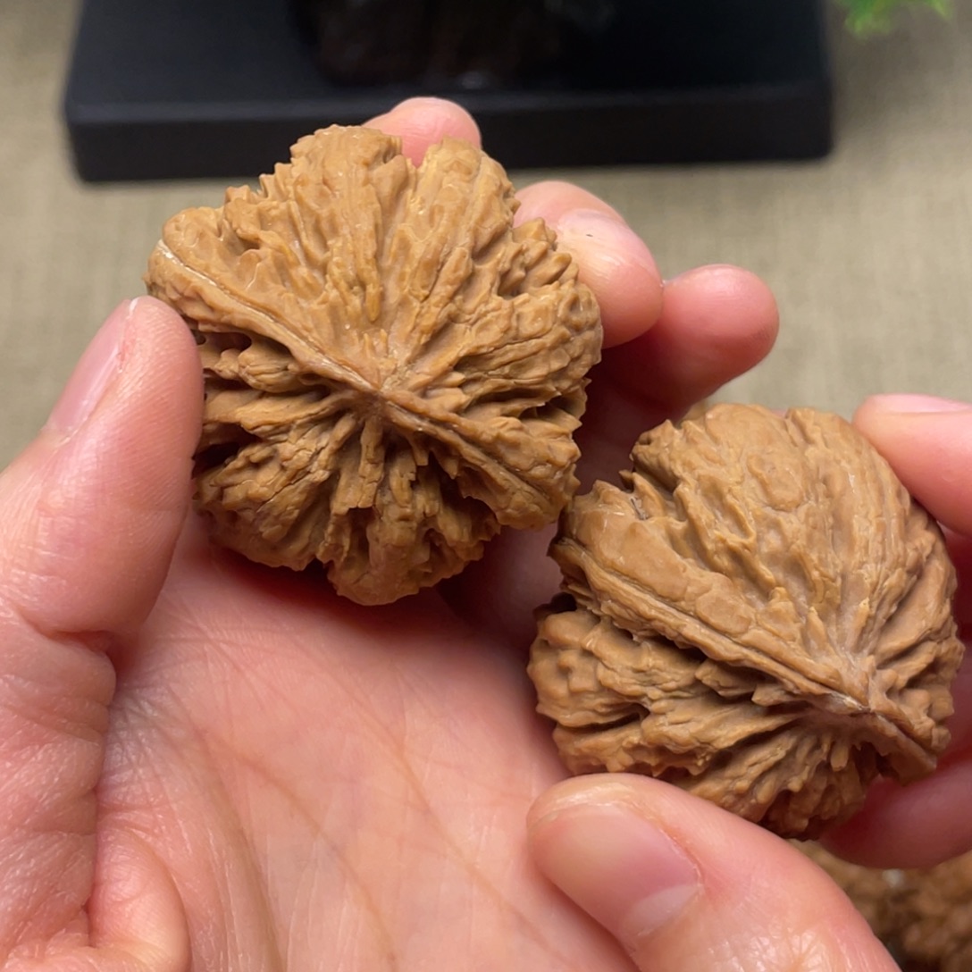 劫***阳把件文玩核桃秦岭核桃42号