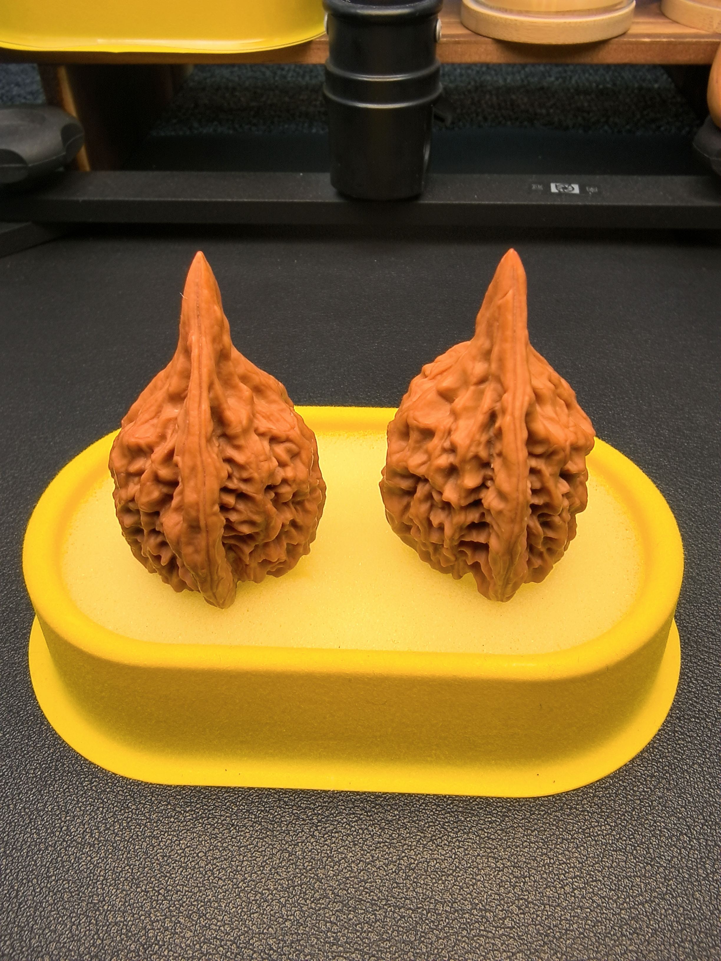 红樱枪异形蛇头文玩核桃稀有珍品，边35，肚32，高53