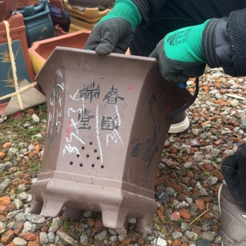 紫砂花盆紫砂花盆盆景盆栽