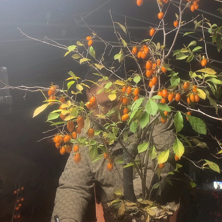 沧***周无花朵我们的目标是