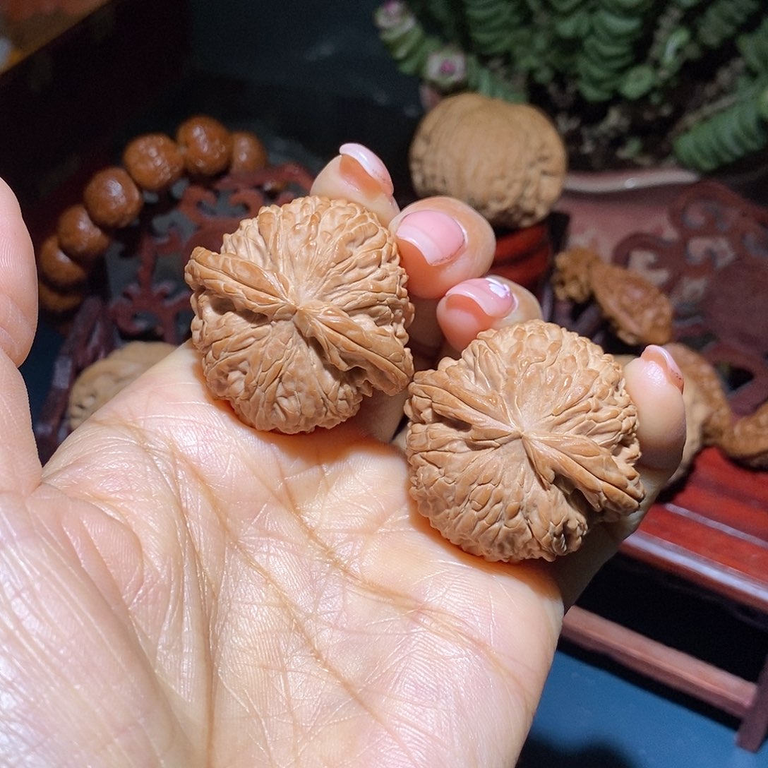 文玩核桃把件℉白狮子38