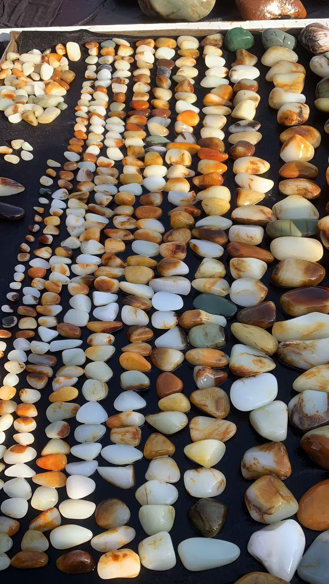 新疆自然洒金石头秋梨戈壁五彩盆景石