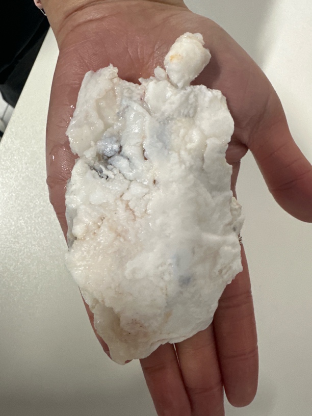 长白山纯天然石太岁摆件纯白肉