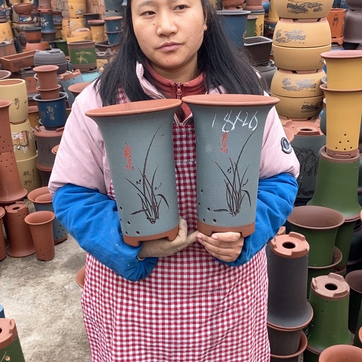 紫砂花盆盆栽花卉苗木种植