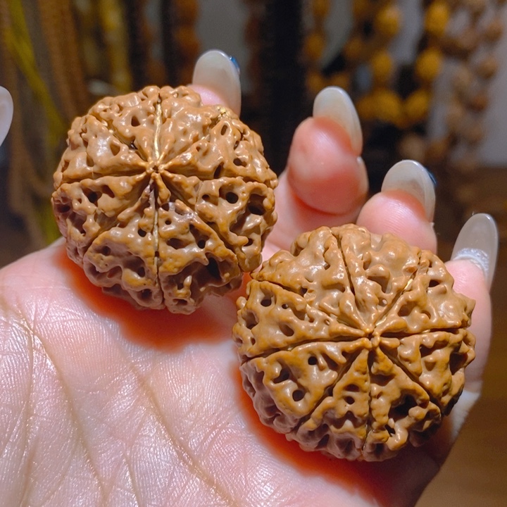 野生多瓣大金刚把件348