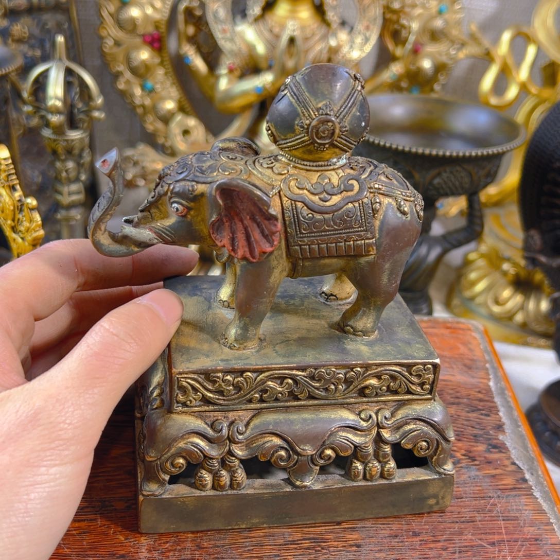 大*1123344455556355968888