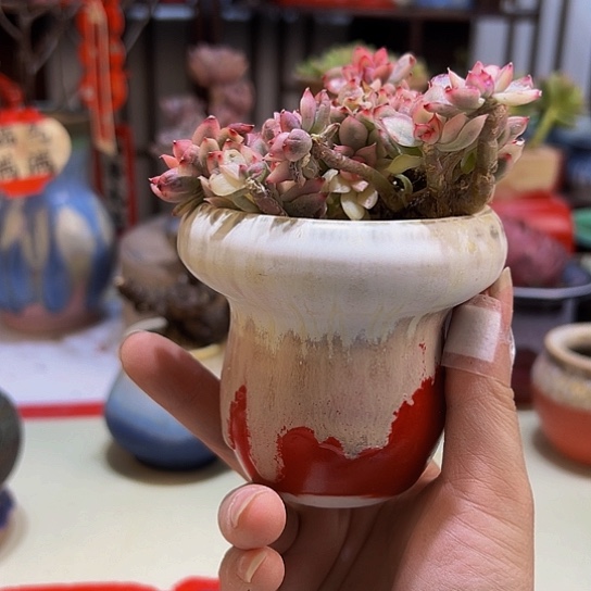 景德镇陶瓷研究所