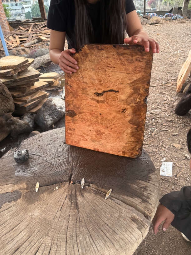 民间使用风化木漂流木