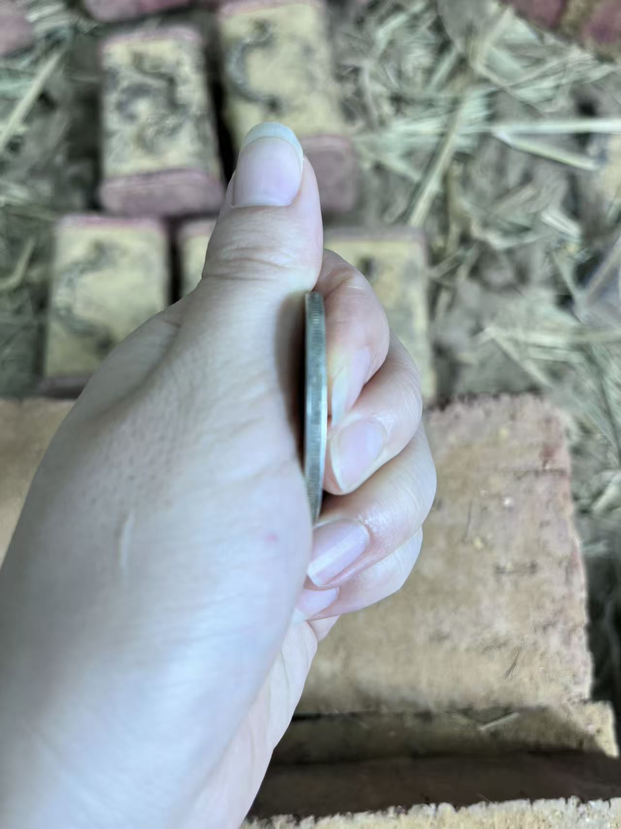 鑫鑫趣味收藏    xm0002   趣味收藏现代工艺品复古仿古