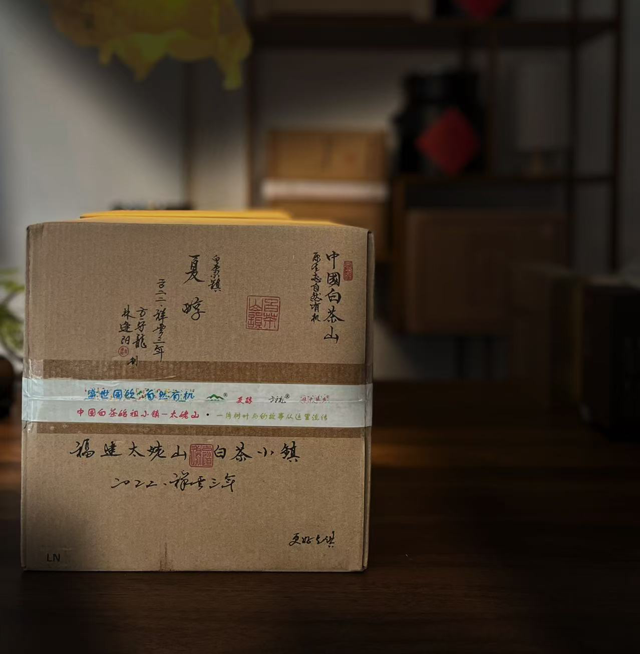 【方守龙白茶】2022年夏醇 有机白牡丹  50克（拆开不退不换）