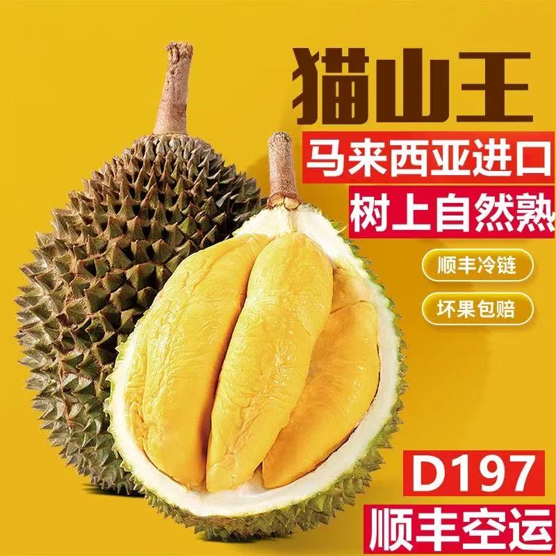猫山王AA榴莲鲜果马来西亚核大D197