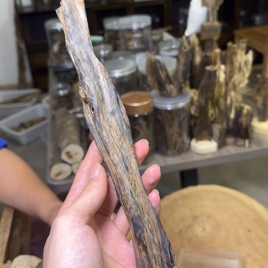 沉香紫奇虫漏原料发一份