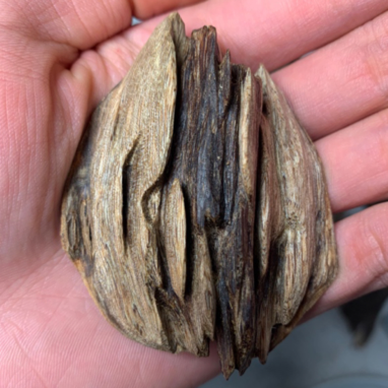 高品质虎斑棋熏香料