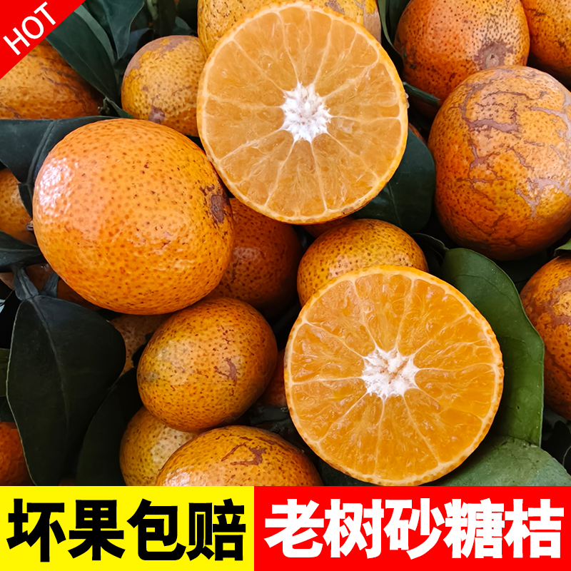 花皮果爆甜【五斤装】正宗爆甜砂糖桔新鲜现摘沙糖桔