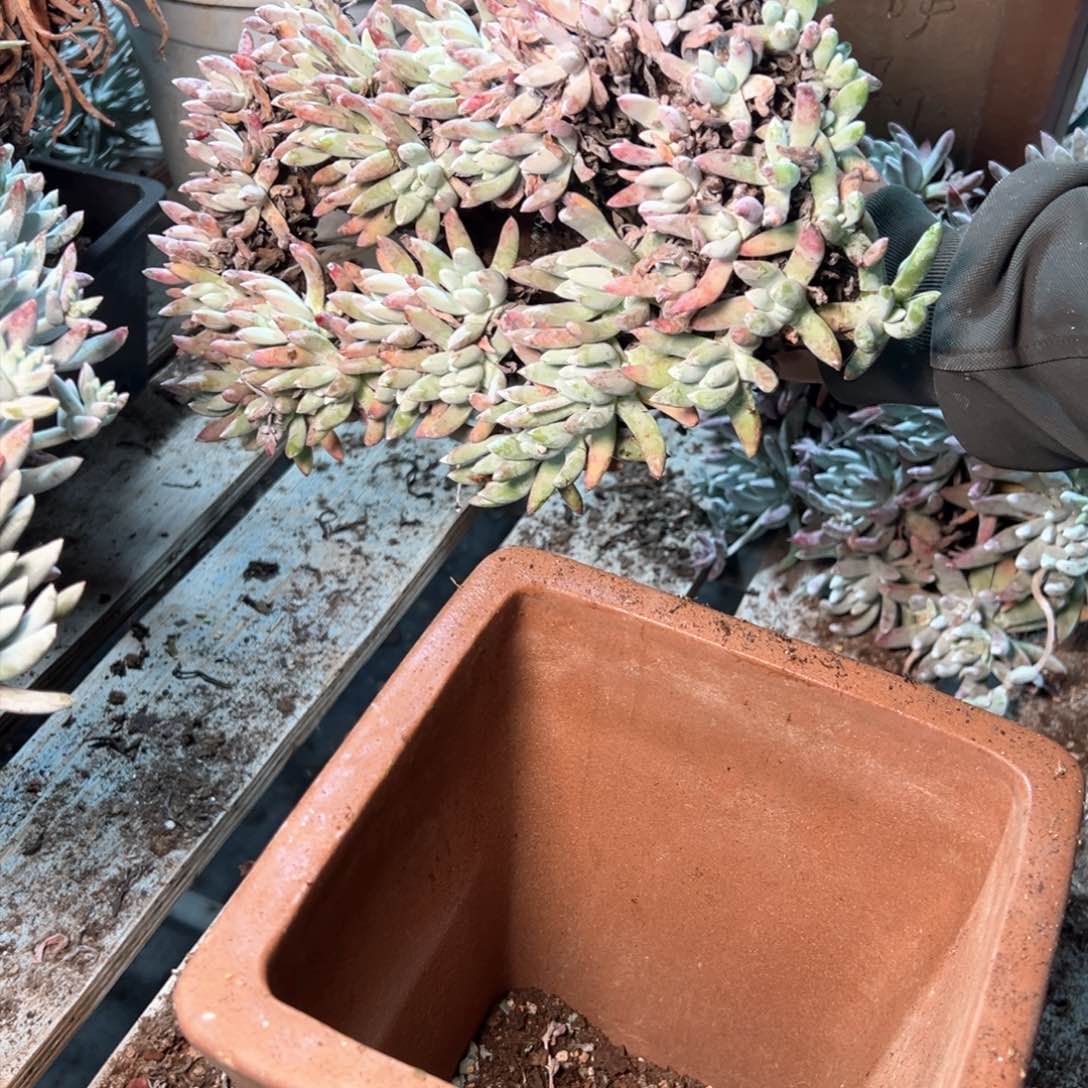 7611哈哈哈哈哈哈哈哈