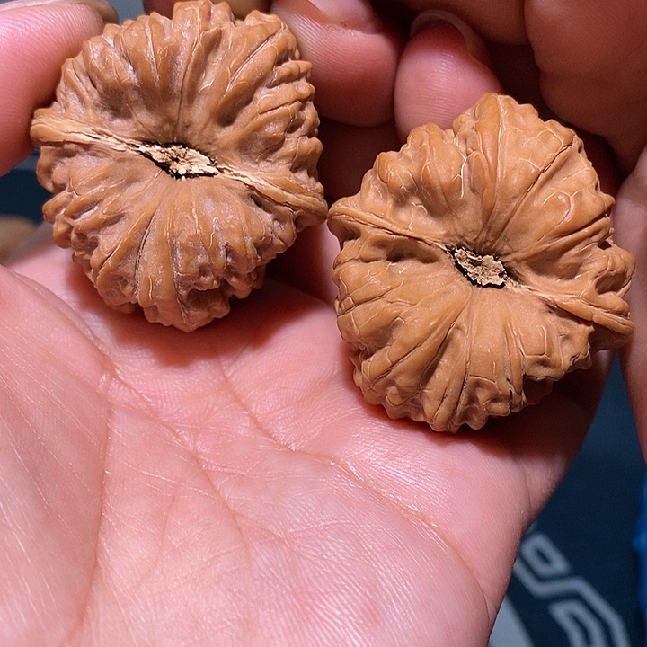 文玩核桃把件38.5金蟾凹底情投意合