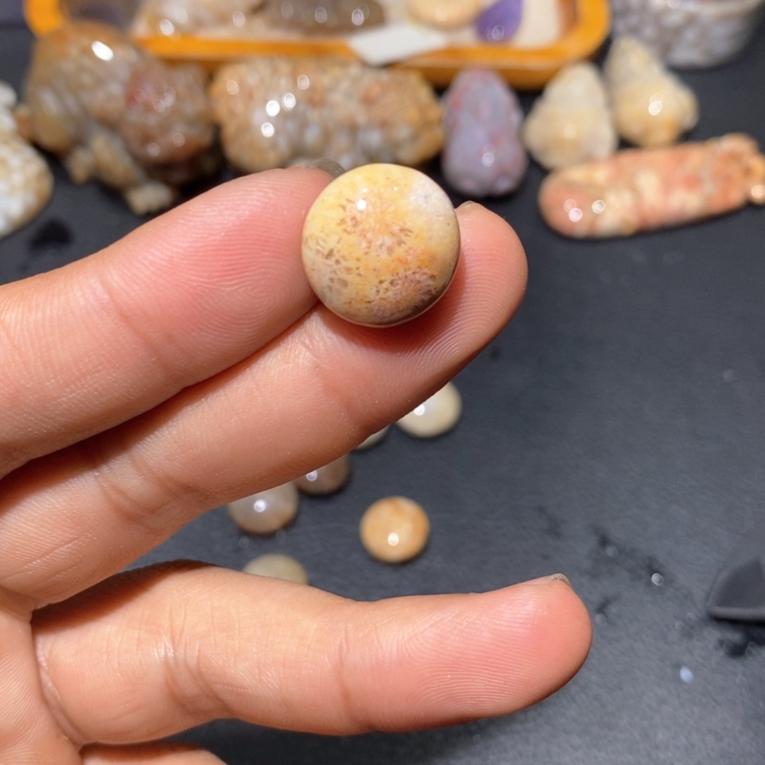 【闪购商品】硅化玉颈饰未镶嵌