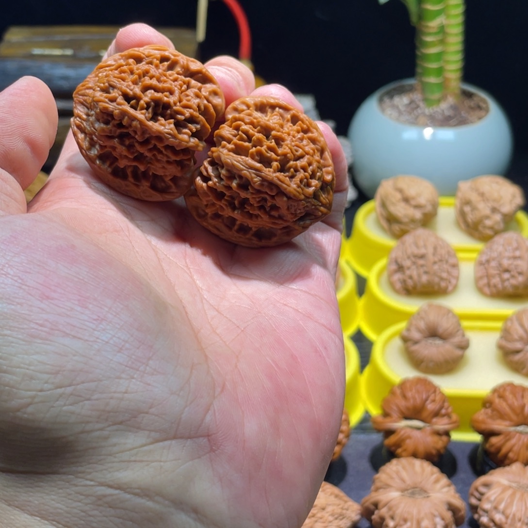 文玩核桃把件41全品满天星以打底