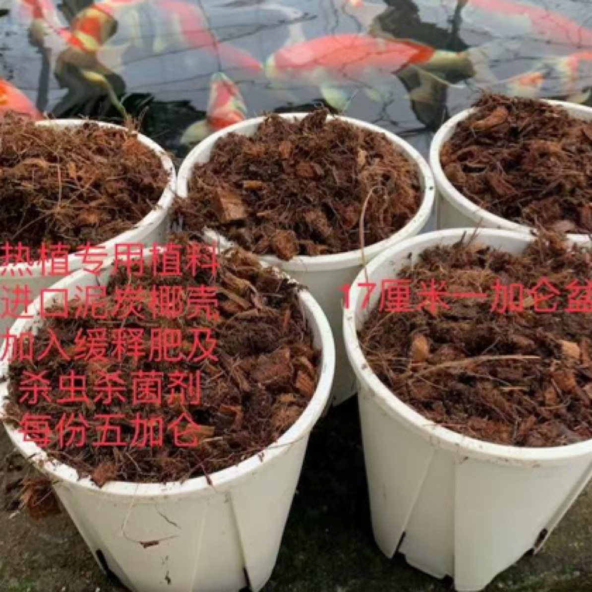 热植专用植料（每份10升）