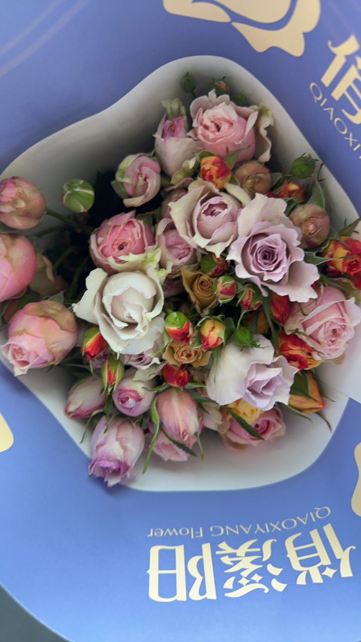 【展厅混色】任拍三单及以上包顺空鲜切花10支装%20不售后花店稀有