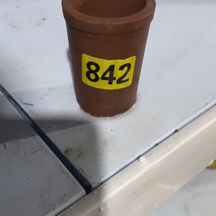 武***中民俗文化研究中心