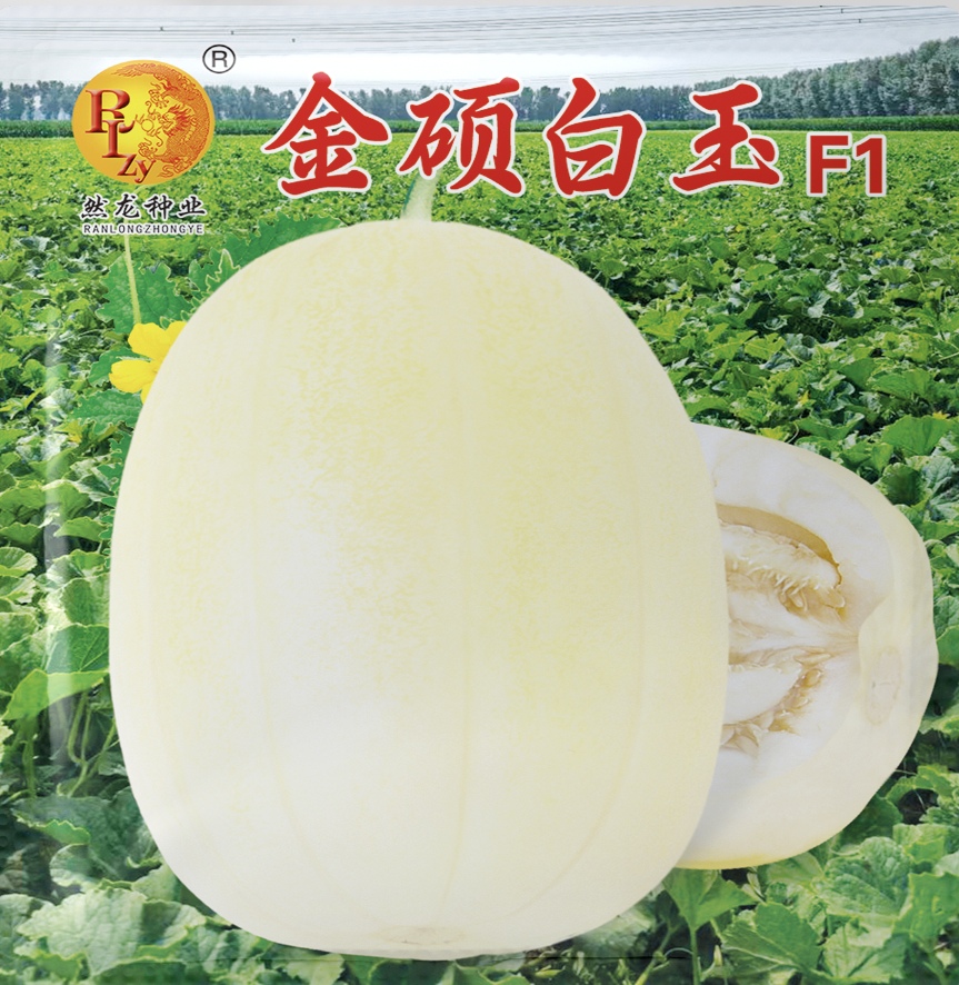 金硕白玉甜瓜种子30克/罐大果型黄白瓜类型