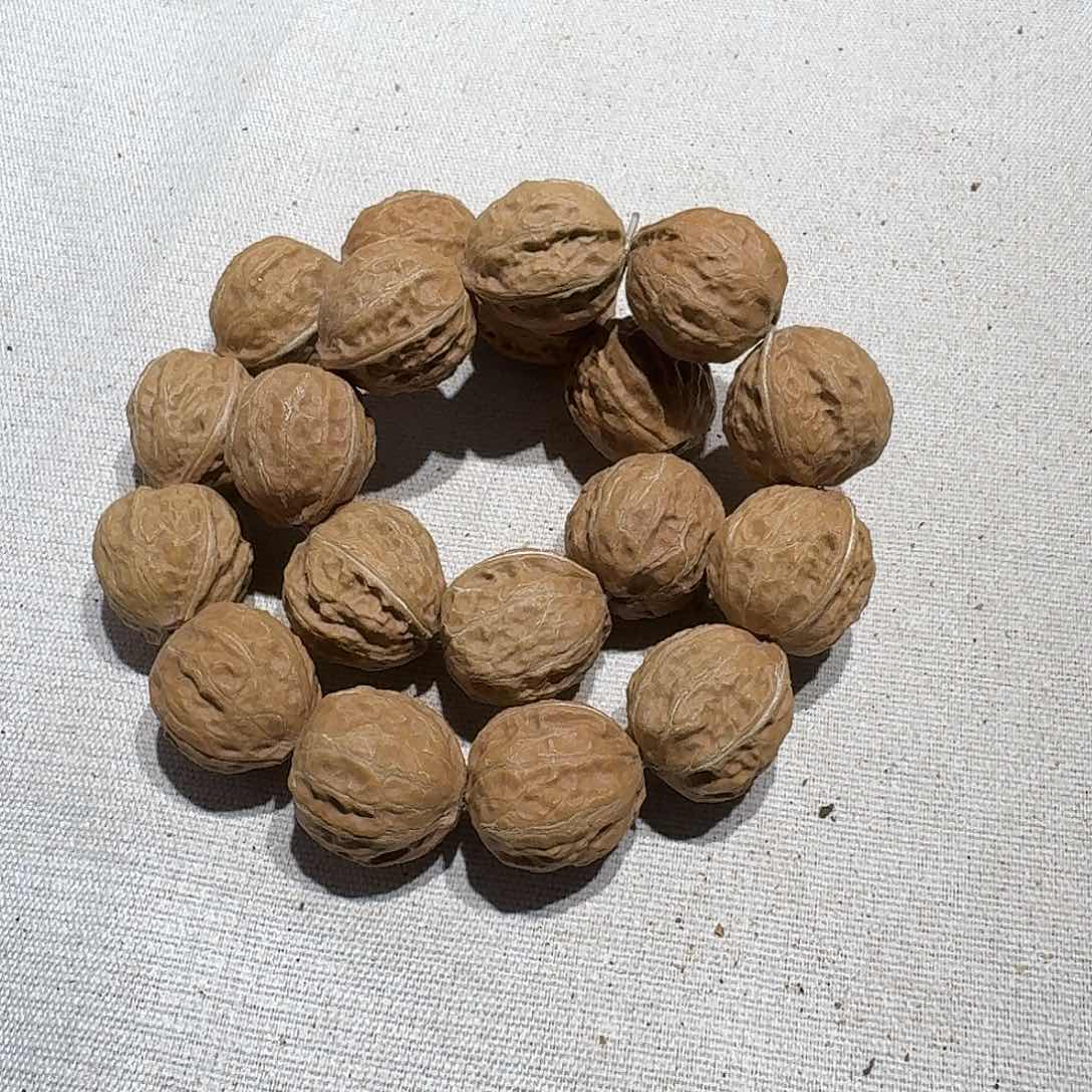 核桃手串/手链48号边23肚24高24