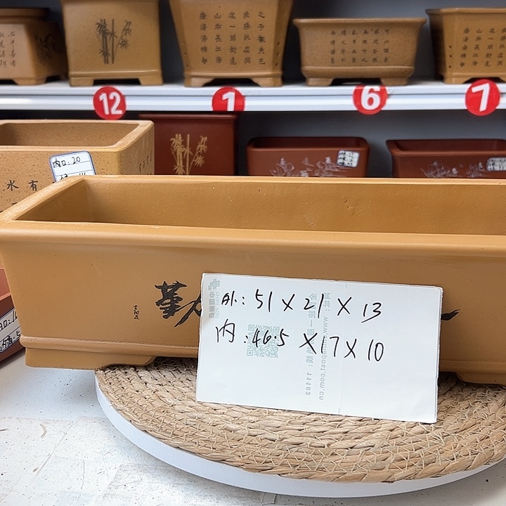 紫砂花盆蛇年大吉