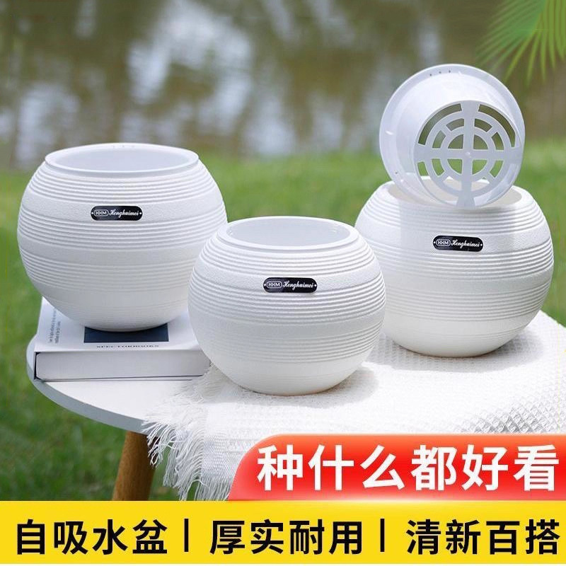 新疆包邮新款简约球形花盆免浇水自动吸水懒人水培桌面塑料