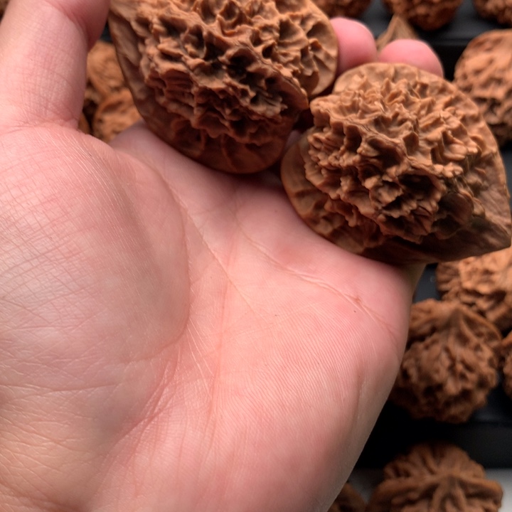 其他核桃大*。秦岭的一座