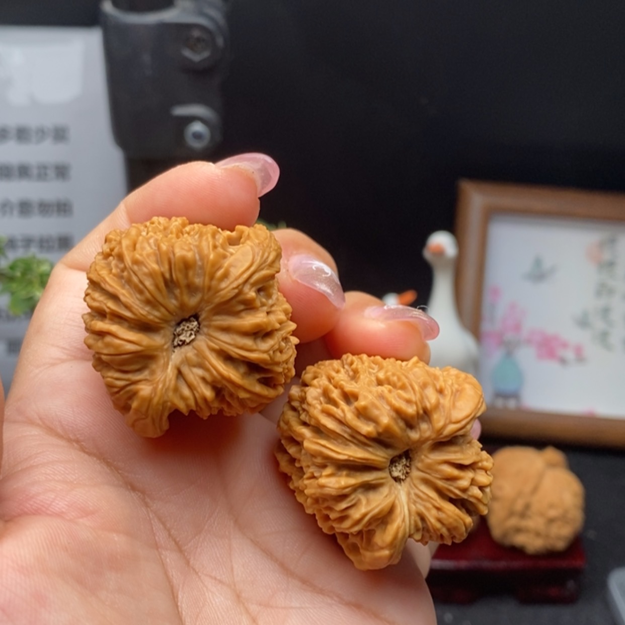 【闪购商品】2 ，高炮拉丝酒杯底 涿鹿南将石边35