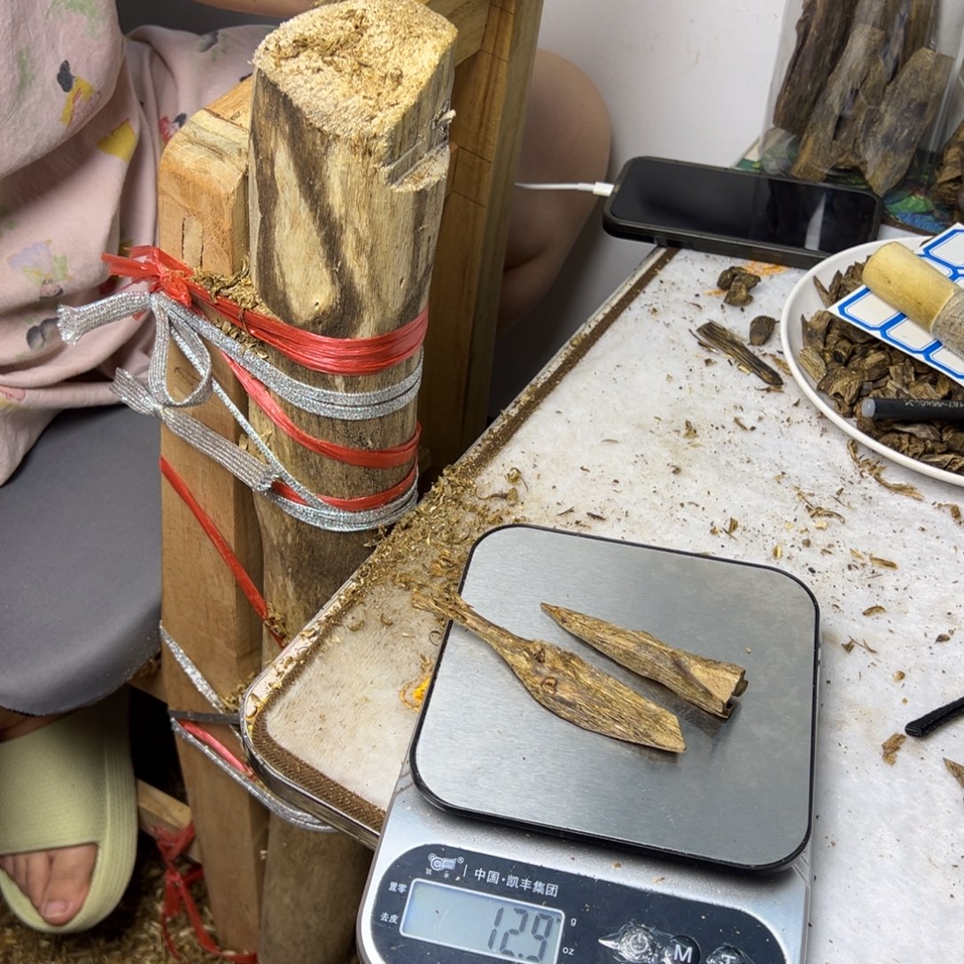 线香奇楠虫漏香12克