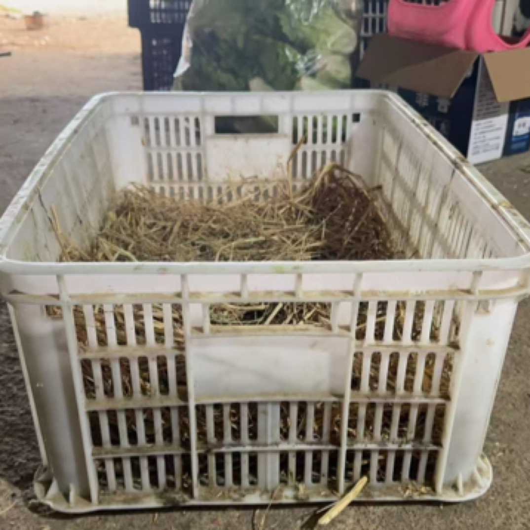 小金塑料收纳筐出壳简约储物