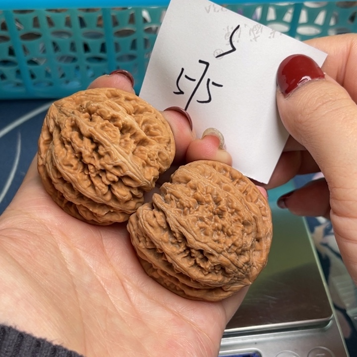 文玩核桃把件粗筋43