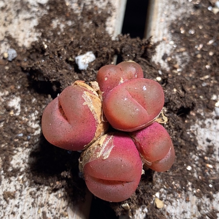 3197一组一组一组