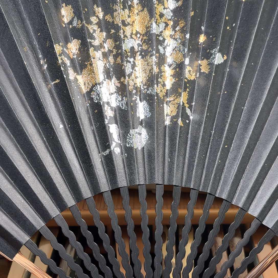 扇子爆炸金龙鳞棕竹