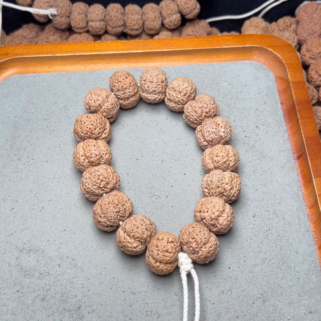 @***川菩提17号金刚菩提熊猫菠萝蜜21